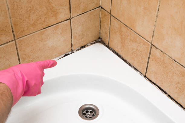 Best Commercial Mold Removal  in Sand Hill, PA